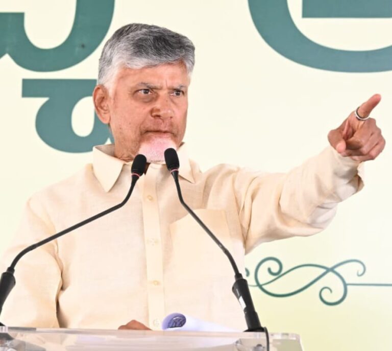 cm chandrababu naidu
